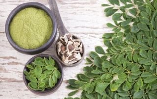 Moringa plante medicinale complement alimentaire nutrition beaute